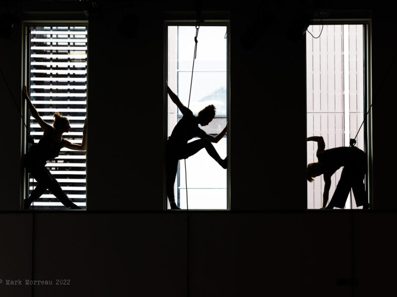 3 dancers, 2 female, 1 male all wearing harnesses, strike different poses silhouetted in 3 window frames, limbs bent, backs arched or curved